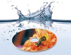 画像2: CMC　TY C005　 業務用ＣＤ-Ｒ48倍　ウォーターシールド WaterShield(WS1)　（耐水・光沢写真画質） １スピンドル５０枚 